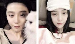 娱乐圈明星吃瓜介绍图,幕后真相大曝光